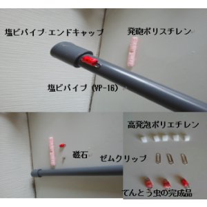 画像: 登るてんとう虫