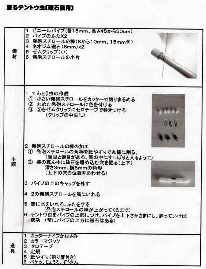 画像: 登るてんとう虫