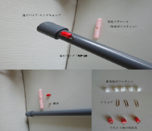 画像4: 登るてんとう虫